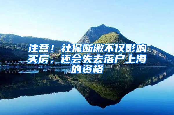 注意！社保断缴不仅影响买房，还会失去落户上海的资格