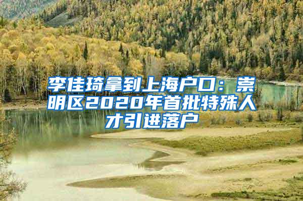 李佳琦拿到上海户口：崇明区2020年首批特殊人才引进落户