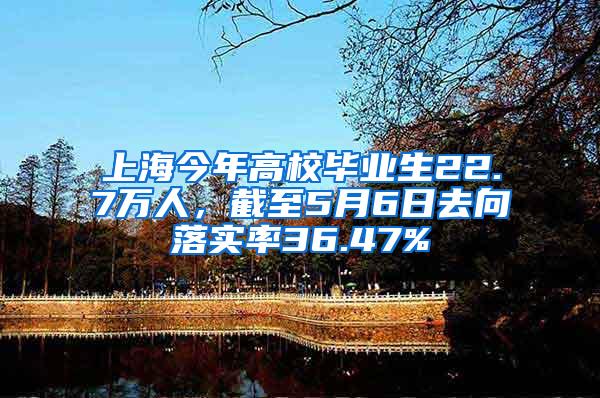 上海今年高校毕业生22.7万人，截至5月6日去向落实率36.47%