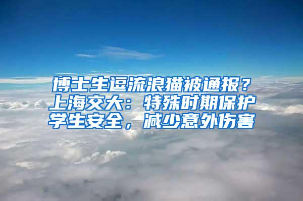 博士生逗流浪猫被通报？上海交大：特殊时期保护学生安全，减少意外伤害