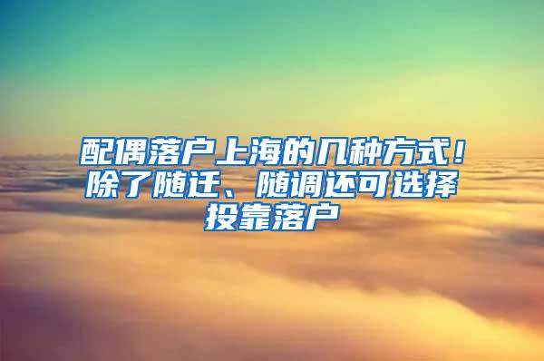 配偶落户上海的几种方式！除了随迁、随调还可选择投靠落户