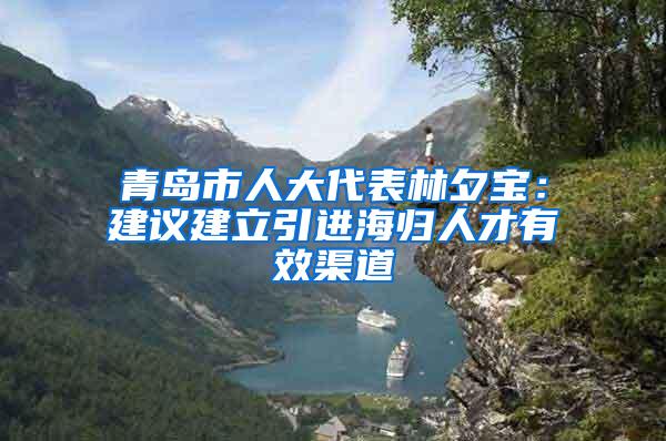 青岛市人大代表林夕宝：建议建立引进海归人才有效渠道