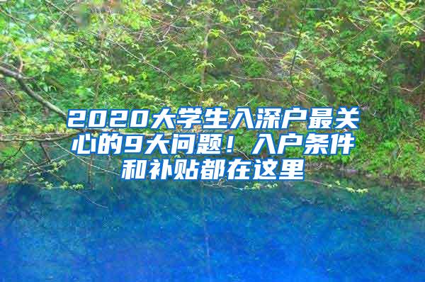 2020大学生入深户最关心的9大问题！入户条件和补贴都在这里