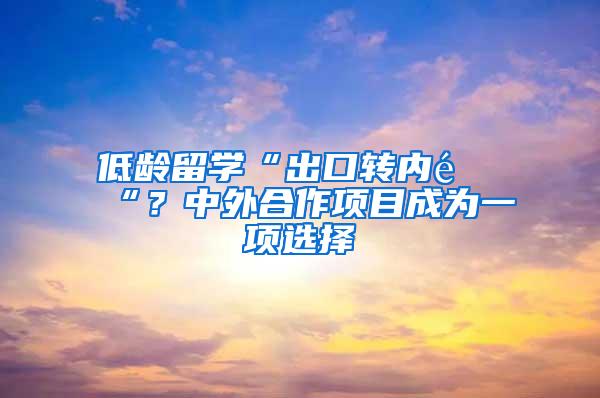 低龄留学“出口转内销“？中外合作项目成为一项选择