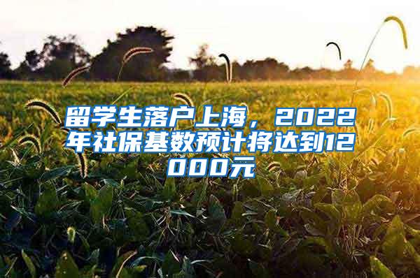 留学生落户上海，2022年社保基数预计将达到12000元
