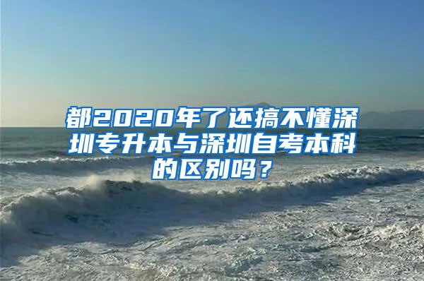 都2020年了还搞不懂深圳专升本与深圳自考本科的区别吗？