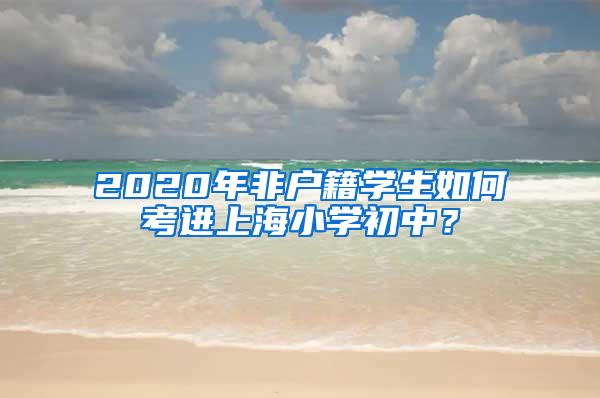 2020年非户籍学生如何考进上海小学初中？