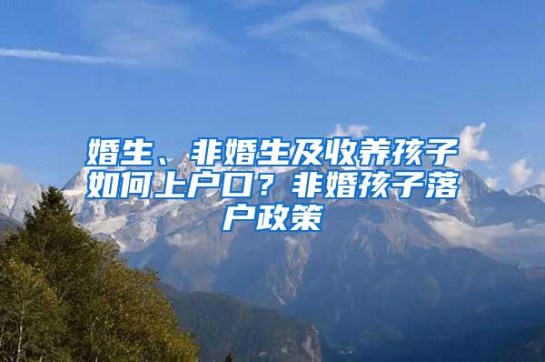 婚生、非婚生及收养孩子如何上户口？非婚孩子落户政策