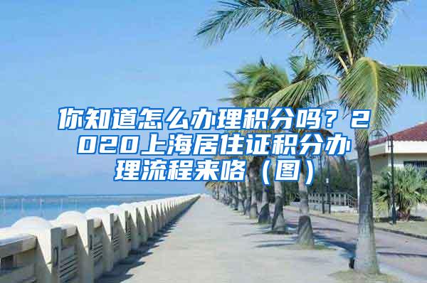 你知道怎么办理积分吗？2020上海居住证积分办理流程来咯（图）