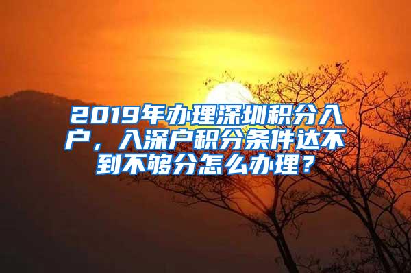 2019年办理深圳积分入户，入深户积分条件达不到不够分怎么办理？