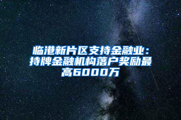 临港新片区支持金融业：持牌金融机构落户奖励最高6000万
