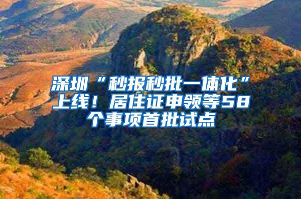 深圳“秒报秒批一体化”上线！居住证申领等58个事项首批试点