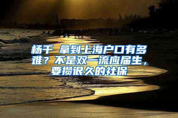 杨千嬅拿到上海户口有多难？不是双一流应届生，要攒很久的社保