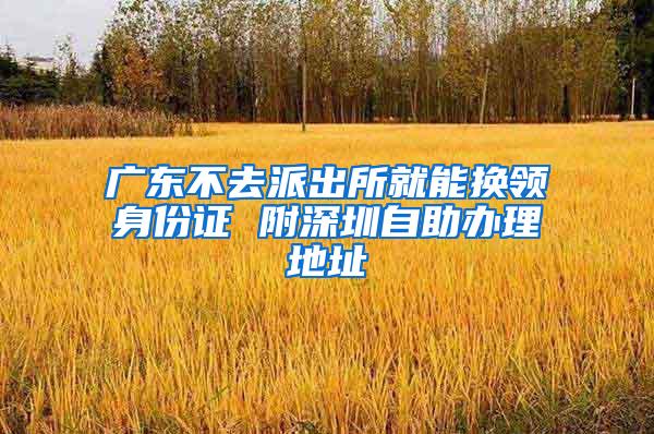 广东不去派出所就能换领身份证 附深圳自助办理地址