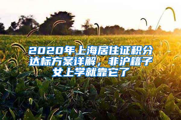 2020年上海居住证积分达标方案详解，非沪籍子女上学就靠它了