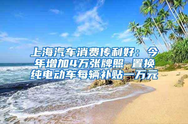 上海汽车消费传利好：今年增加4万张牌照 置换纯电动车每辆补贴一万元