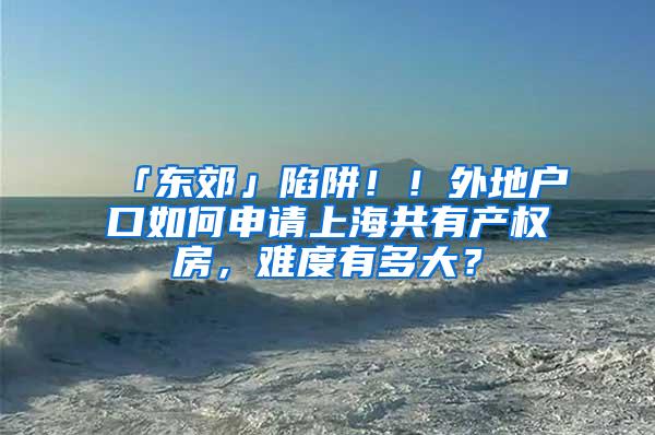 「东郊」陷阱！！外地户口如何申请上海共有产权房，难度有多大？