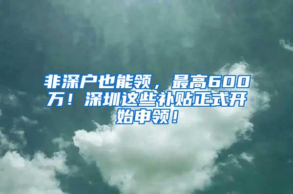 非深户也能领，最高600万！深圳这些补贴正式开始申领！