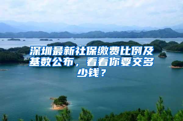 深圳最新社保缴费比例及基数公布，看看你要交多少钱？