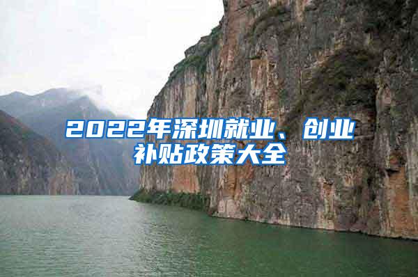 2022年深圳就业、创业补贴政策大全