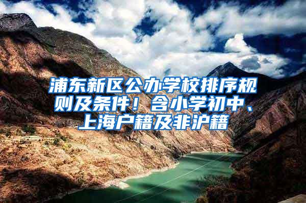 浦东新区公办学校排序规则及条件！含小学初中、上海户籍及非沪籍