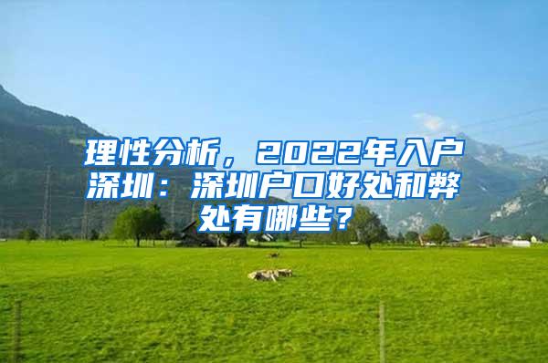 理性分析，2022年入户深圳：深圳户口好处和弊处有哪些？