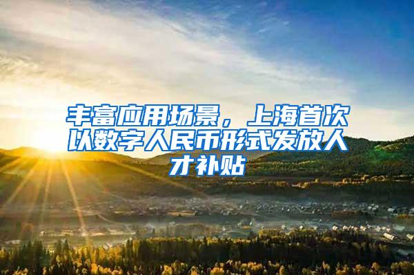 丰富应用场景，上海首次以数字人民币形式发放人才补贴