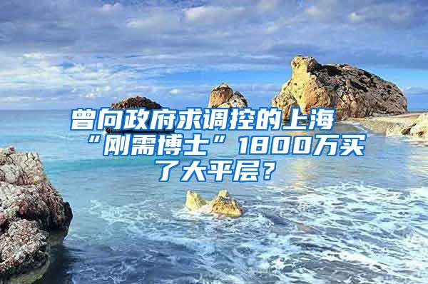 曾向政府求调控的上海“刚需博士”1800万买了大平层？