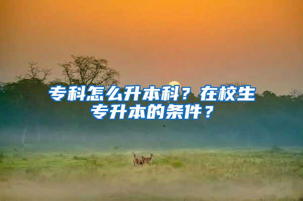 专科怎么升本科？在校生专升本的条件？