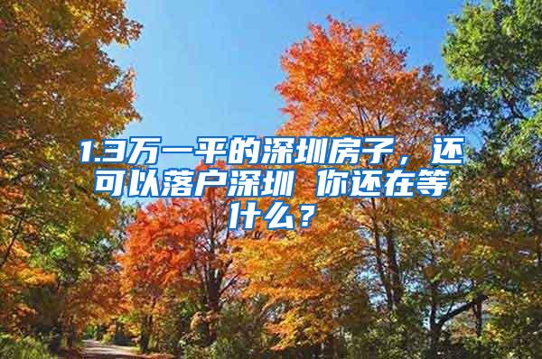 1.3万一平的深圳房子，还可以落户深圳 你还在等什么？