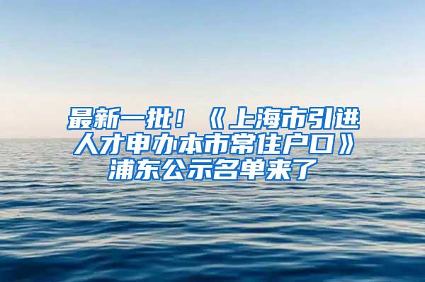 最新一批！《上海市引进人才申办本市常住户口》浦东公示名单来了