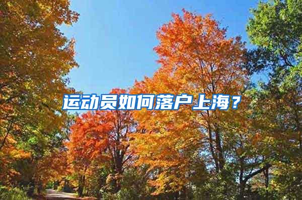 运动员如何落户上海？