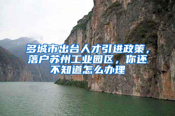 多城市出台人才引进政策，落户苏州工业园区，你还不知道怎么办理