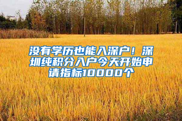 没有学历也能入深户！深圳纯积分入户今天开始申请指标10000个