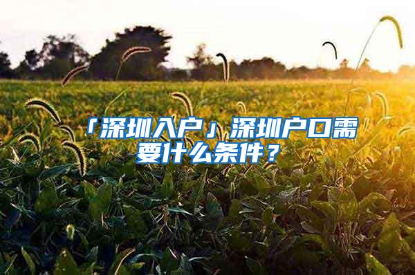 「深圳入户」深圳户口需要什么条件？