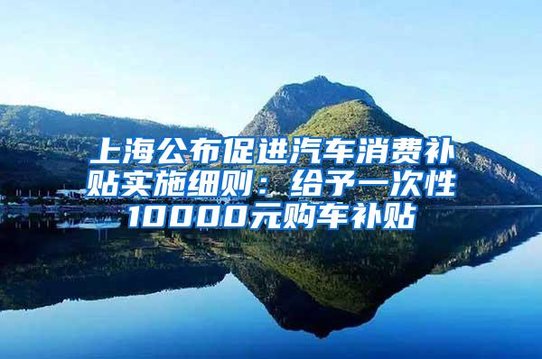 上海公布促进汽车消费补贴实施细则：给予一次性10000元购车补贴