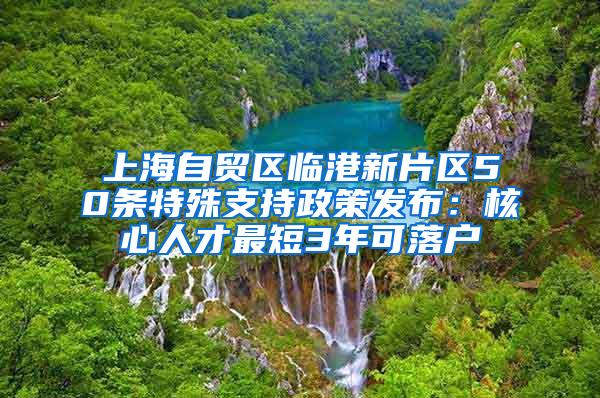 上海自贸区临港新片区50条特殊支持政策发布：核心人才最短3年可落户