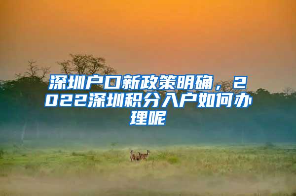 深圳户口新政策明确，2022深圳积分入户如何办理呢