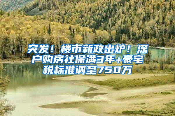 突发！楼市新政出炉！深户购房社保满3年+豪宅税标准调至750万