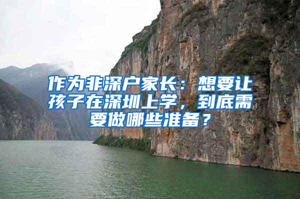 作为非深户家长：想要让孩子在深圳上学，到底需要做哪些准备？