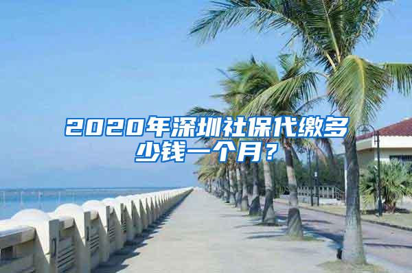 2020年深圳社保代缴多少钱一个月？