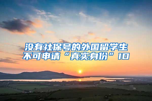 没有社保号的外国留学生不可申请“真实身份”ID