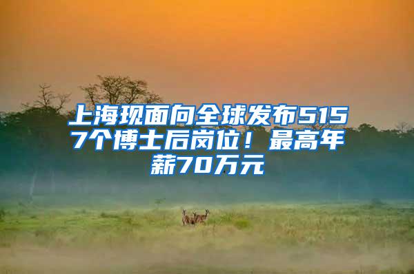 上海现面向全球发布5157个博士后岗位！最高年薪70万元