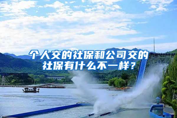 个人交的社保和公司交的社保有什么不一样？