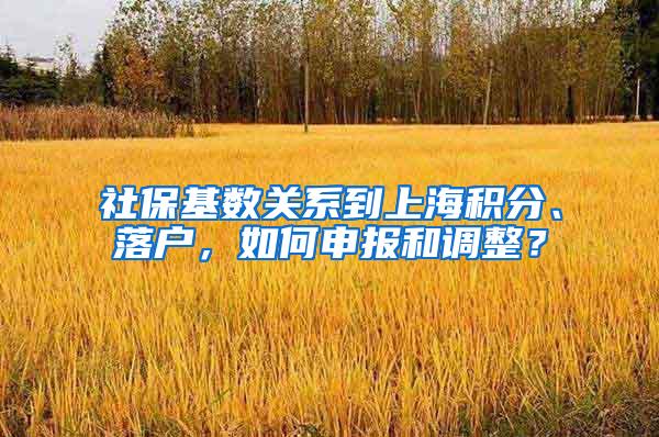 社保基数关系到上海积分、落户，如何申报和调整？