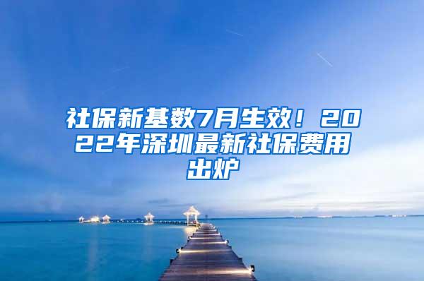 社保新基数7月生效！2022年深圳最新社保费用出炉