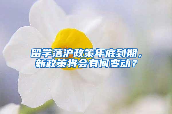 留学落沪政策年底到期，新政策将会有何变动？