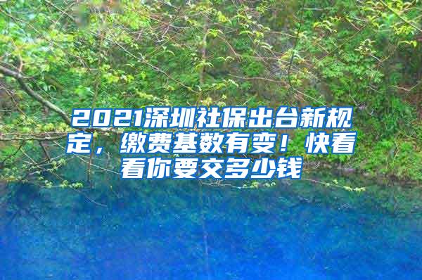 2021深圳社保出台新规定，缴费基数有变！快看看你要交多少钱