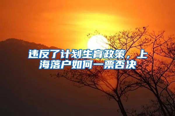 违反了计划生育政策，上海落户如何一票否决