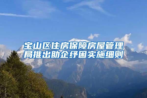 宝山区住房保障房屋管理局推出助企纾困实施细则